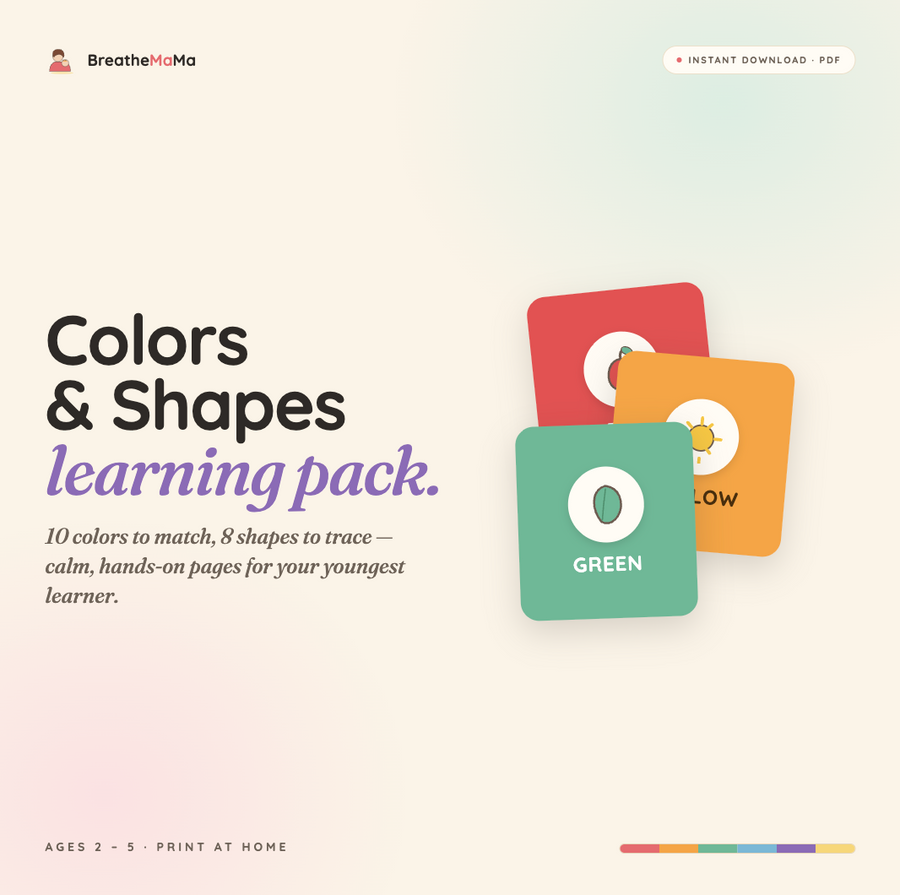 Color and Shape Activities Printable | Toddler Preschool Worksheets | Color Matching Shape Recognition | Instant Download